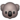 koala.png