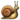 snail.png